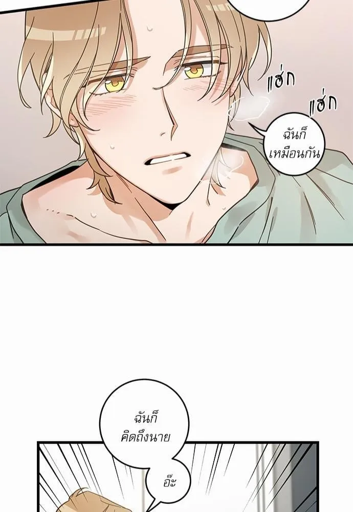 My One and Only Cat ตอนที่ 3949