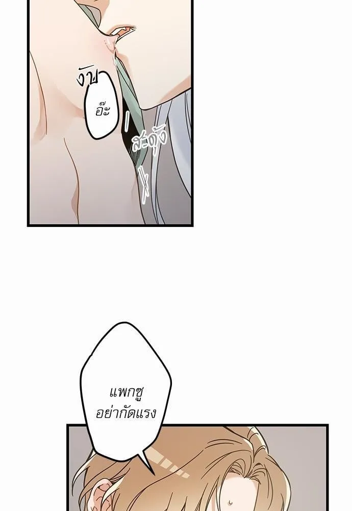 My One and Only Cat ตอนที่ 3953