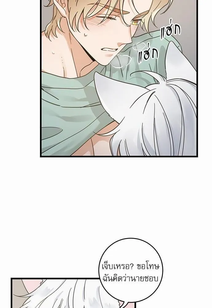 My One and Only Cat ตอนที่ 3954