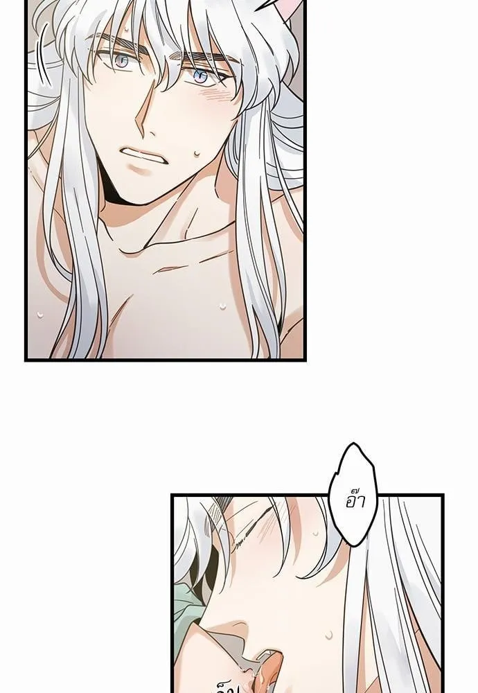 My One and Only Cat ตอนที่ 3955