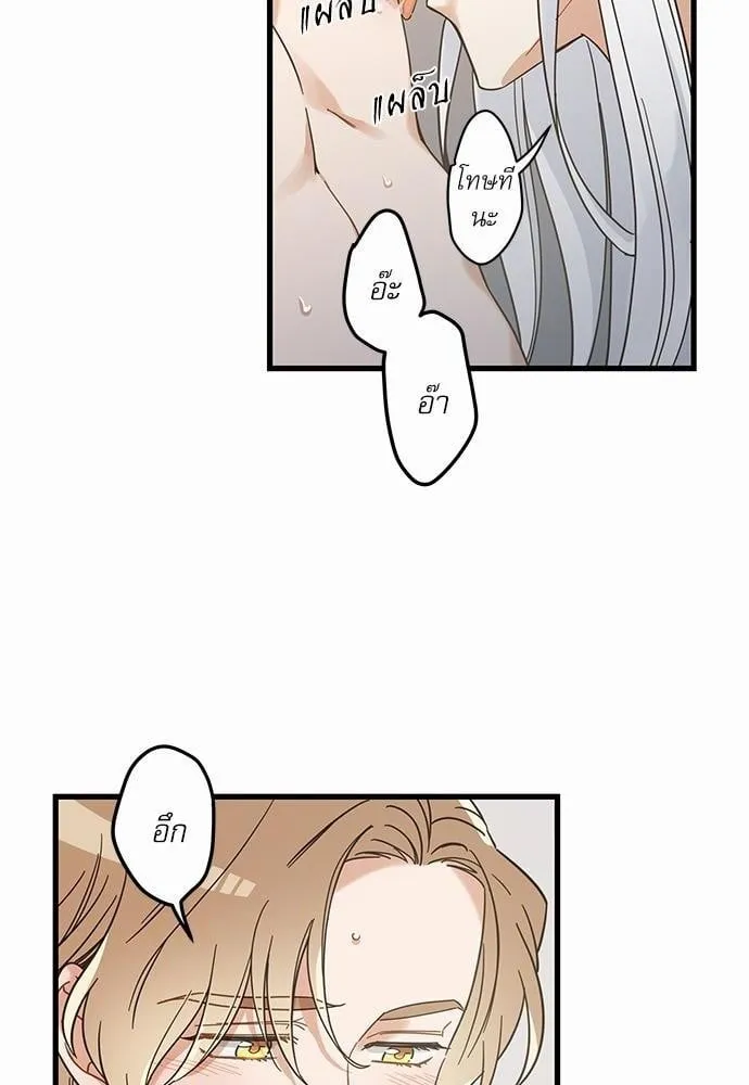 My One and Only Cat ตอนที่ 3956