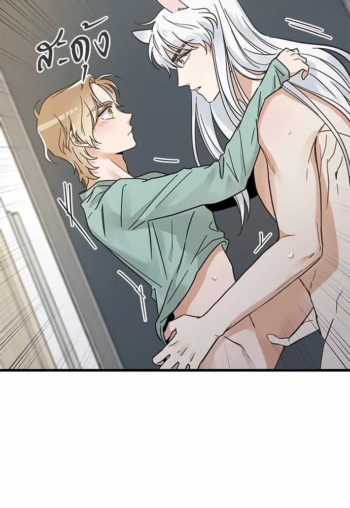 My One and Only Cat ตอนที่ 3960