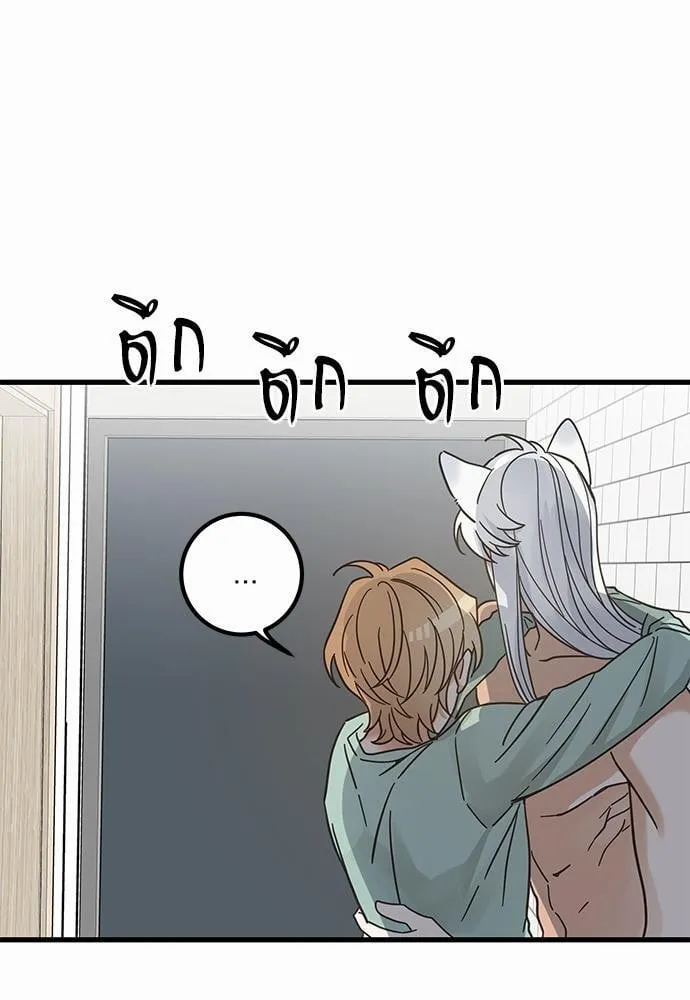 My One and Only Cat ตอนที่ 3961