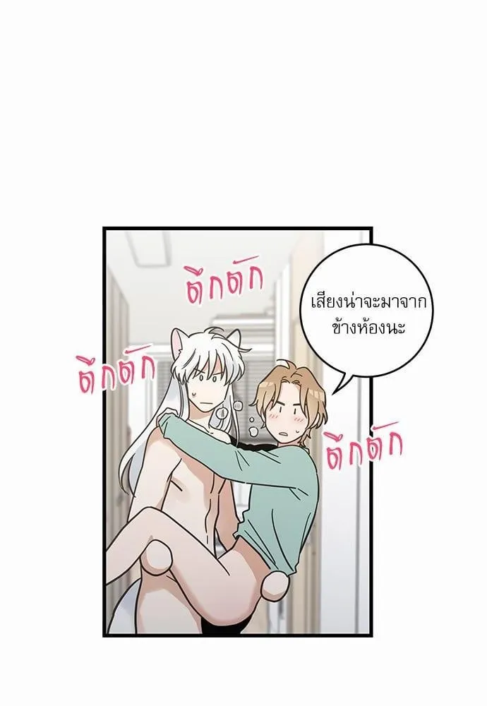 My One and Only Cat ตอนที่ 3962