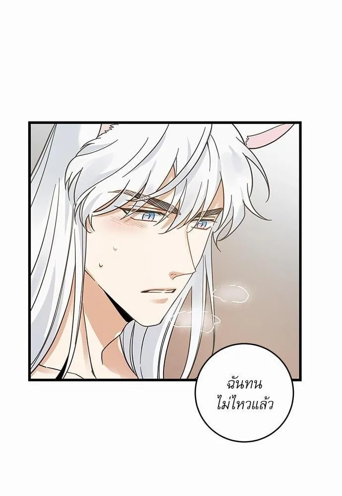 My One and Only Cat ตอนที่ 3964