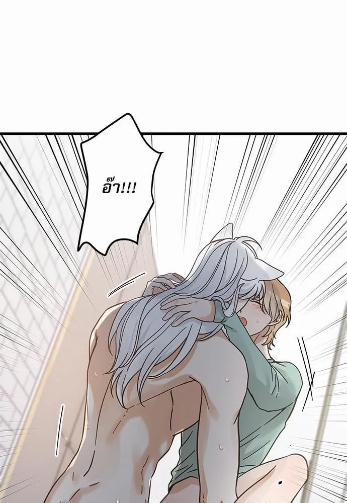 My One and Only Cat ตอนที่ 3965