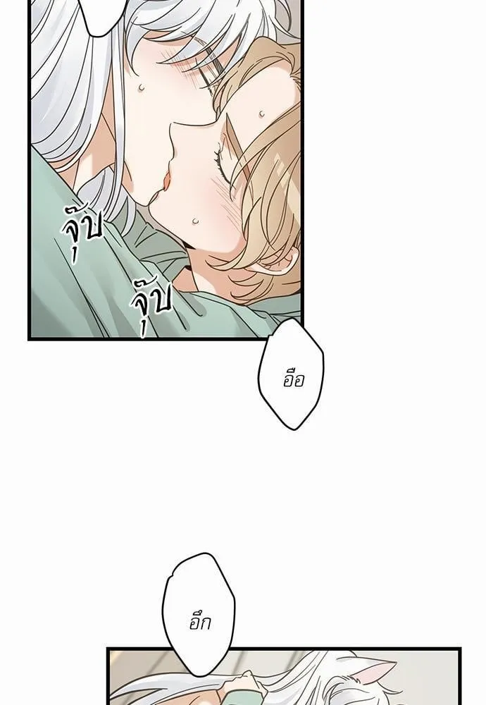 My One and Only Cat ตอนที่ 4003