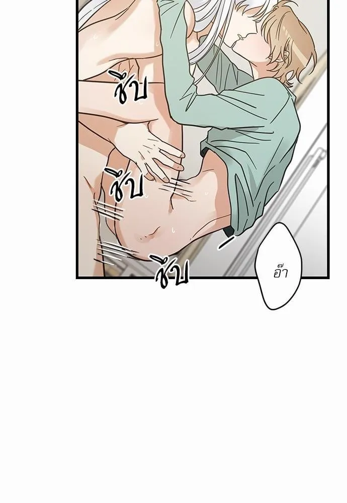 My One and Only Cat ตอนที่ 4004