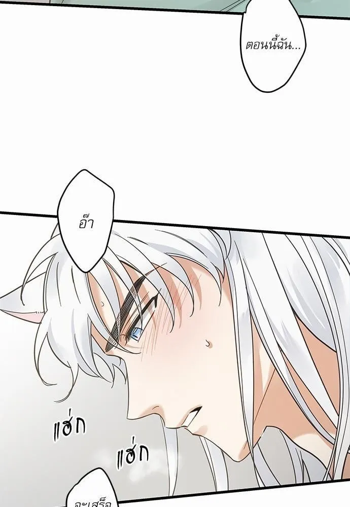 My One and Only Cat ตอนที่ 4009