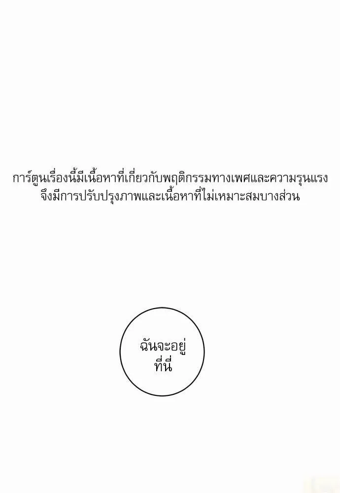 My One and Only Cat ตอนที่ 401 My One and Only Cat ตอนที่ 401