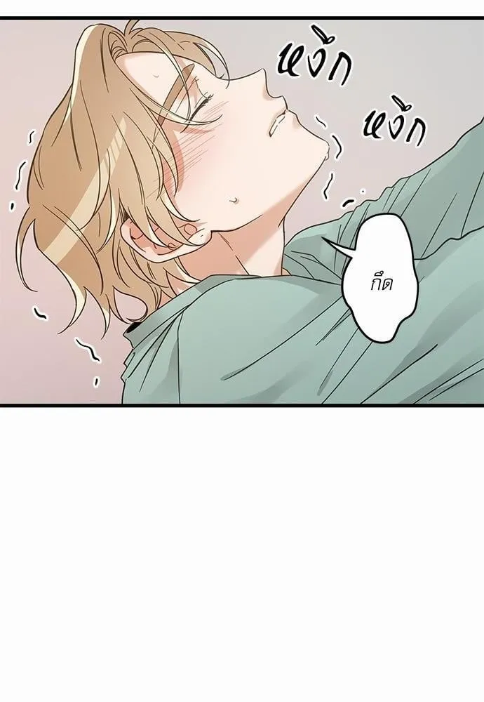 My One and Only Cat ตอนที่ 4012