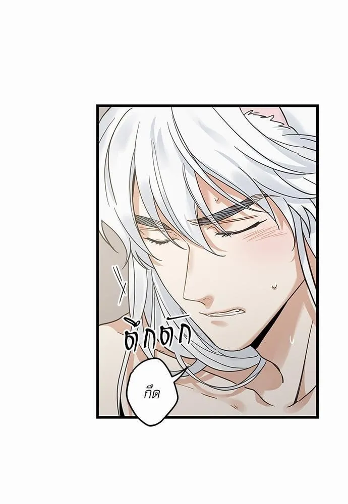 My One and Only Cat ตอนที่ 4013