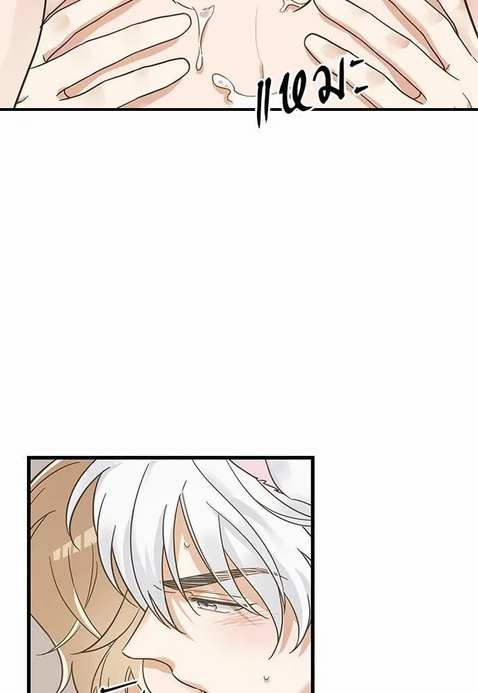 My One and Only Cat ตอนที่ 4016