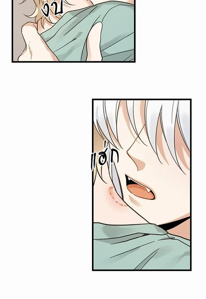 My One and Only Cat ตอนที่ 4017