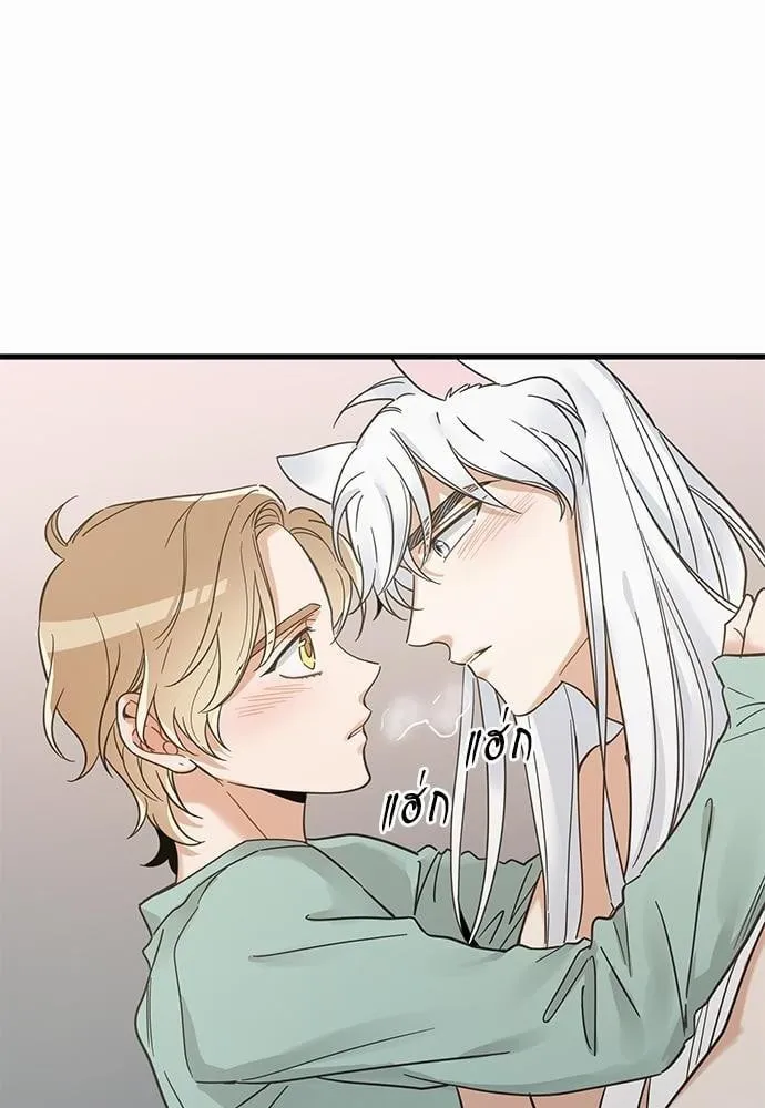 My One and Only Cat ตอนที่ 4018