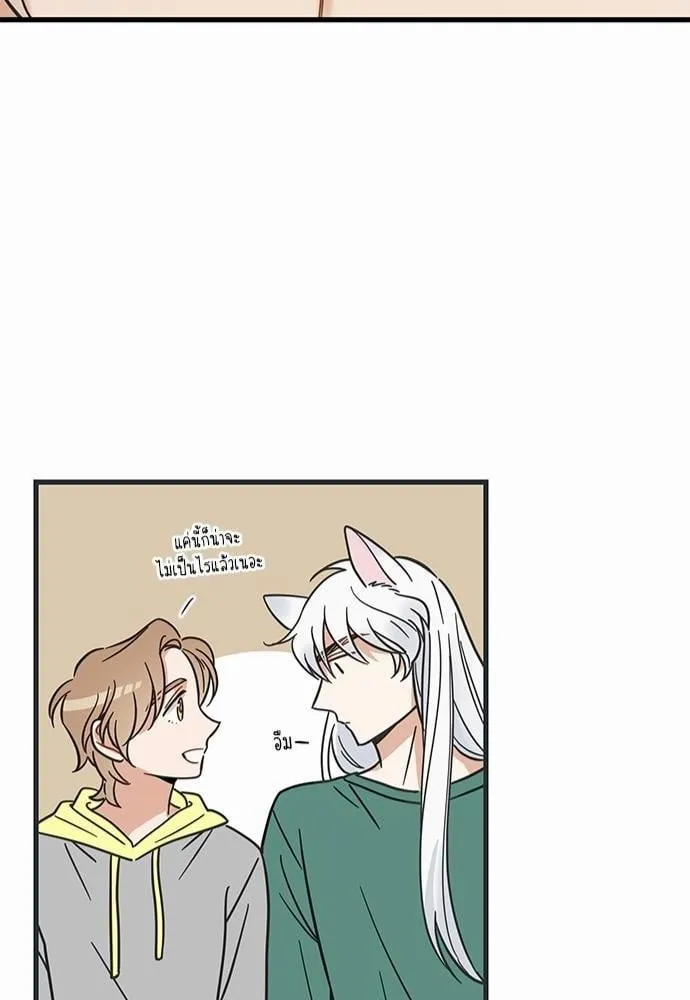 My One and Only Cat ตอนที่ 4042