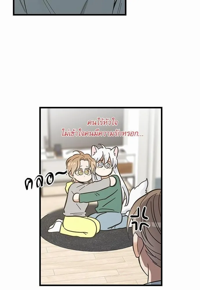 My One and Only Cat ตอนที่ 4050