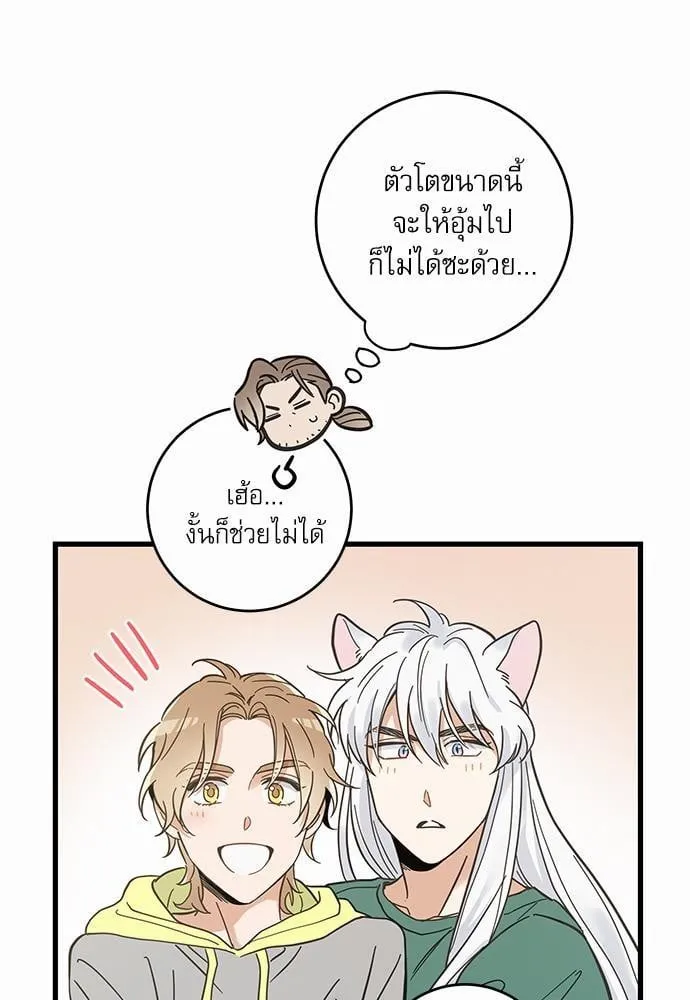 My One and Only Cat ตอนที่ 4051