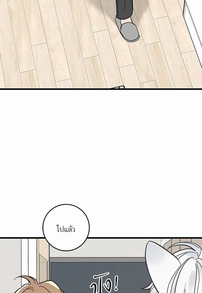 My One and Only Cat ตอนที่ 4054