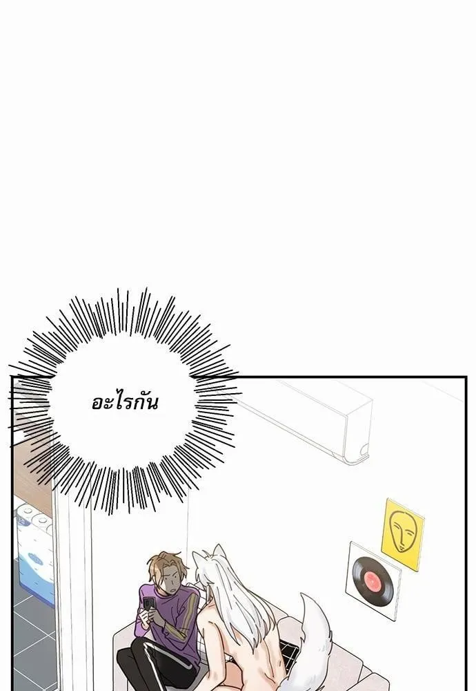 My One and Only Cat ตอนที่ 406 My One and Only Cat ตอนที่ 406