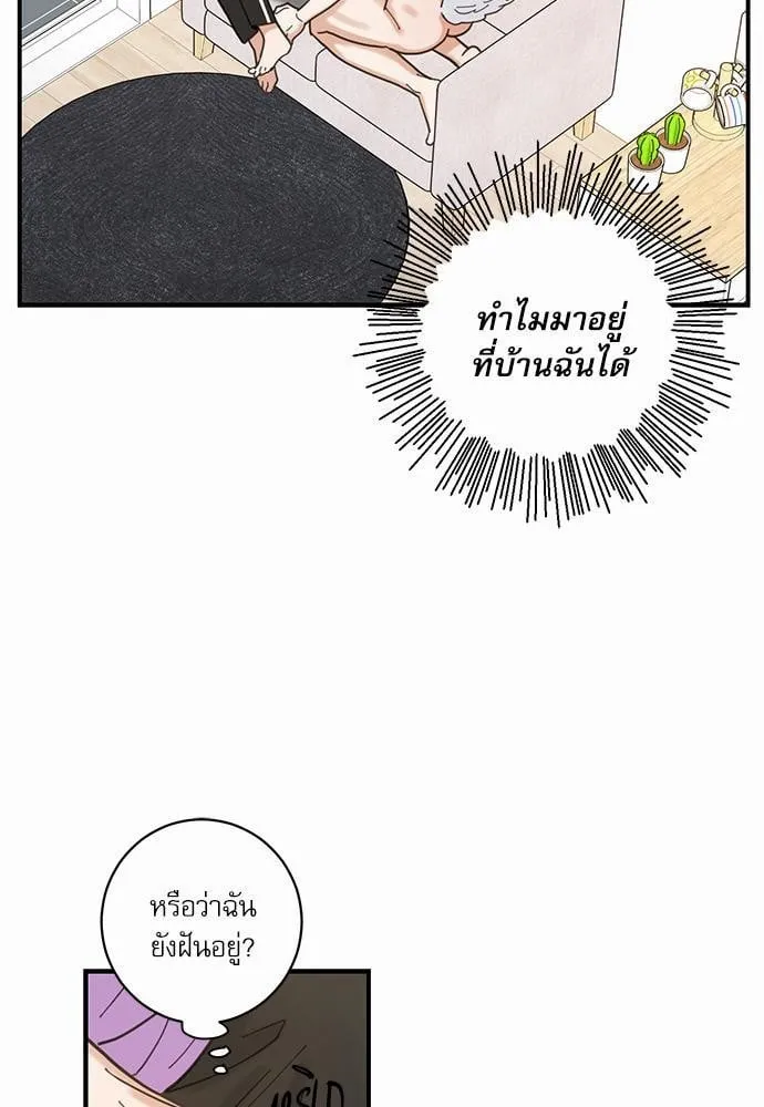 My One and Only Cat ตอนที่ 407 My One and Only Cat ตอนที่ 407