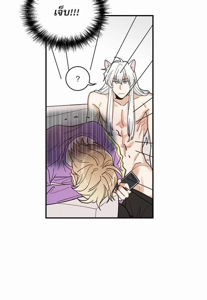 My One and Only Cat ตอนที่ 409 My One and Only Cat ตอนที่ 409