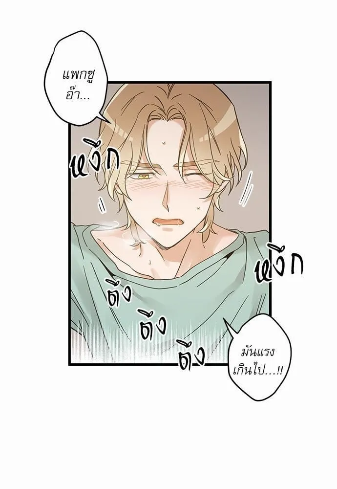 My One and Only Cat ตอนที่ 4105 My One and Only Cat ตอนที่ 4105