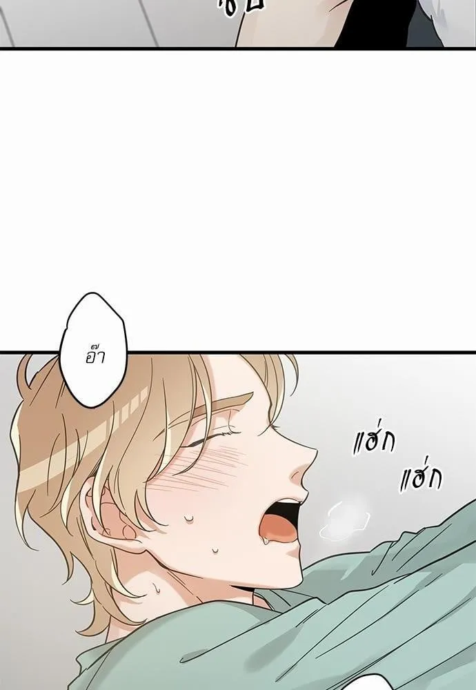 My One and Only Cat ตอนที่ 4108 My One and Only Cat ตอนที่ 4108