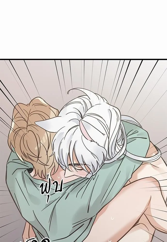 My One and Only Cat ตอนที่ 4114 My One and Only Cat ตอนที่ 4114