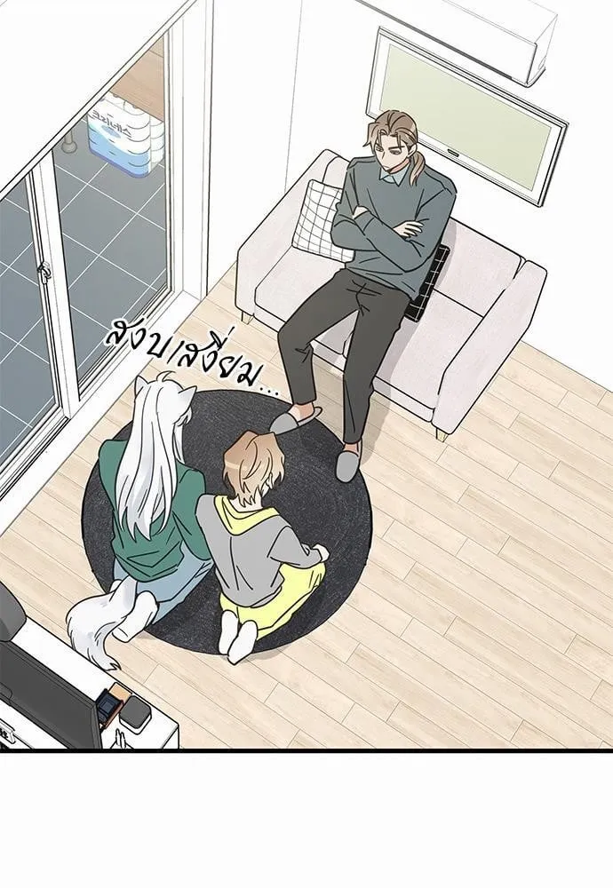 My One and Only Cat ตอนที่ 4125 My One and Only Cat ตอนที่ 4125