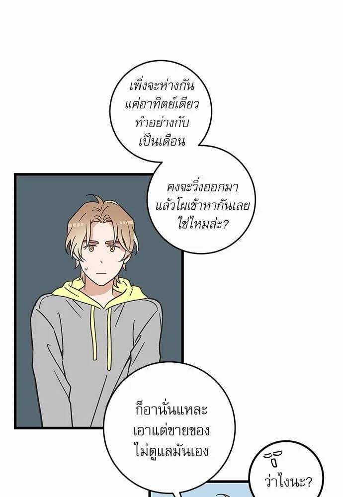 My One and Only Cat ตอนที่ 4126 My One and Only Cat ตอนที่ 4126