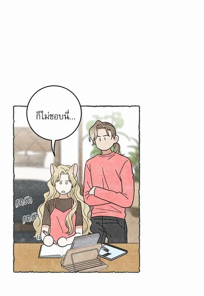 My One and Only Cat ตอนที่ 4134 My One and Only Cat ตอนที่ 4134