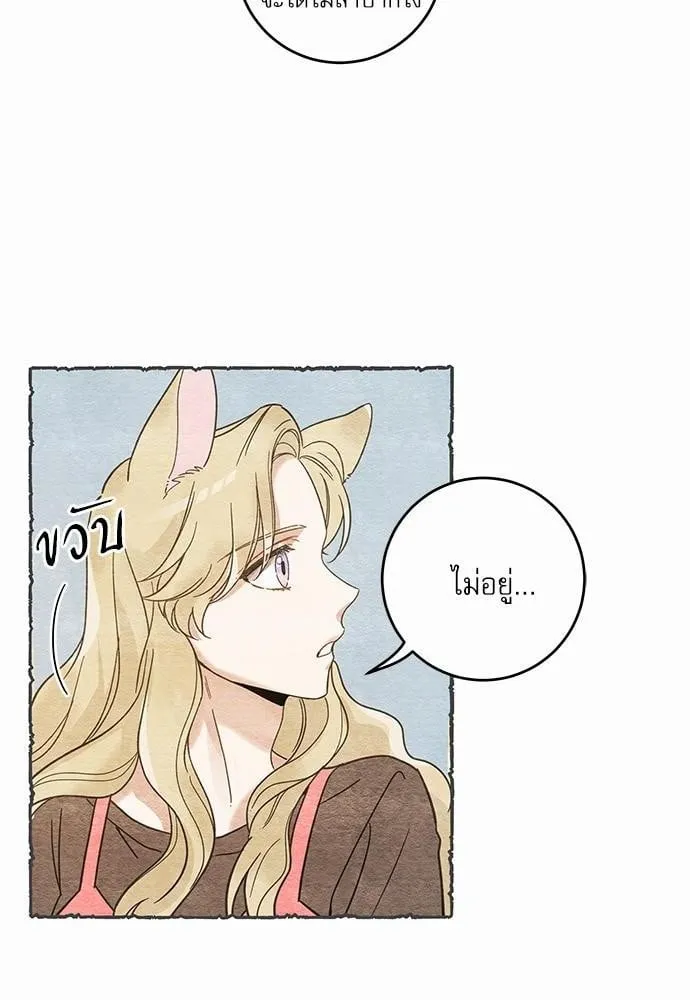 My One and Only Cat ตอนที่ 4136 My One and Only Cat ตอนที่ 4136