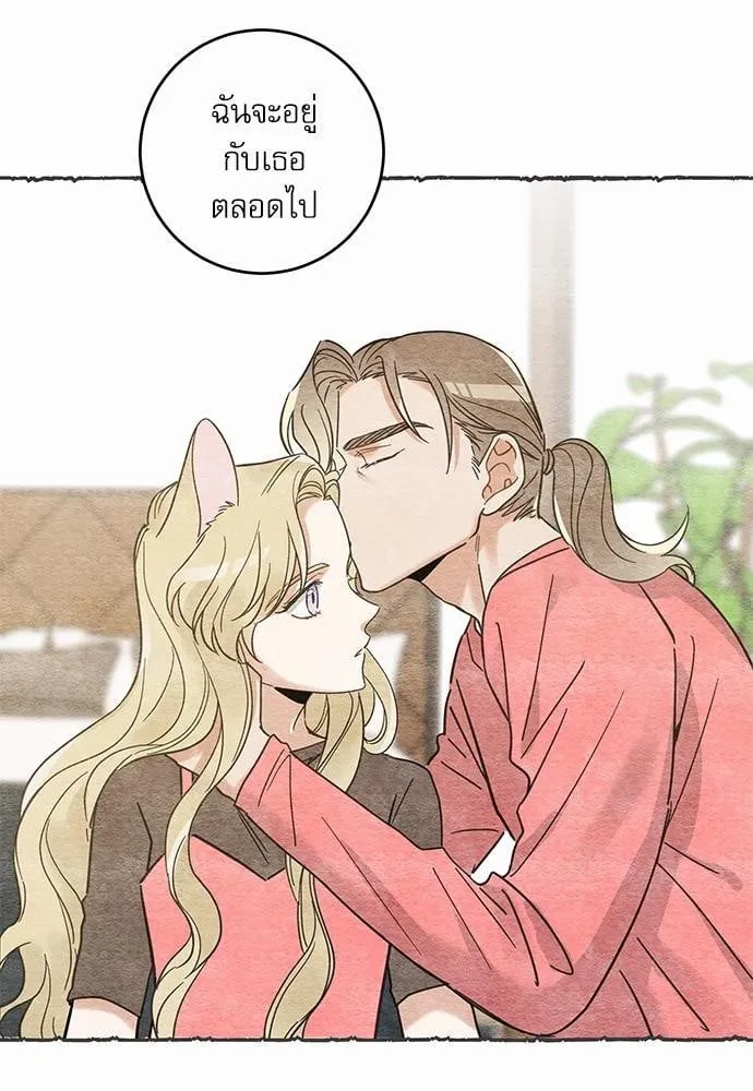 My One and Only Cat ตอนที่ 4138 My One and Only Cat ตอนที่ 4138