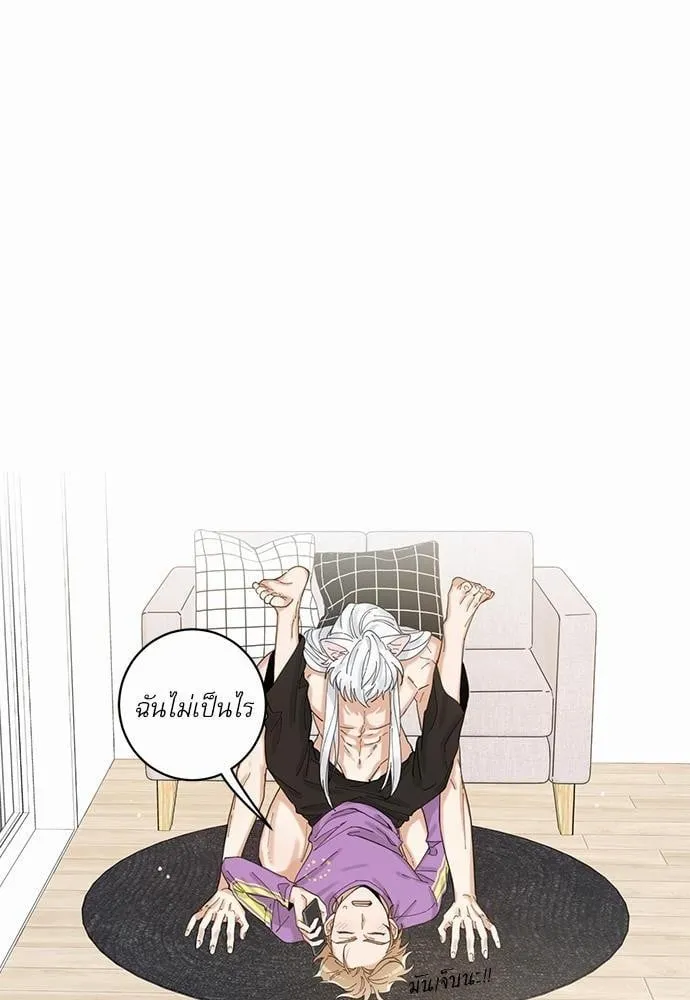 My One and Only Cat ตอนที่ 414 My One and Only Cat ตอนที่ 414