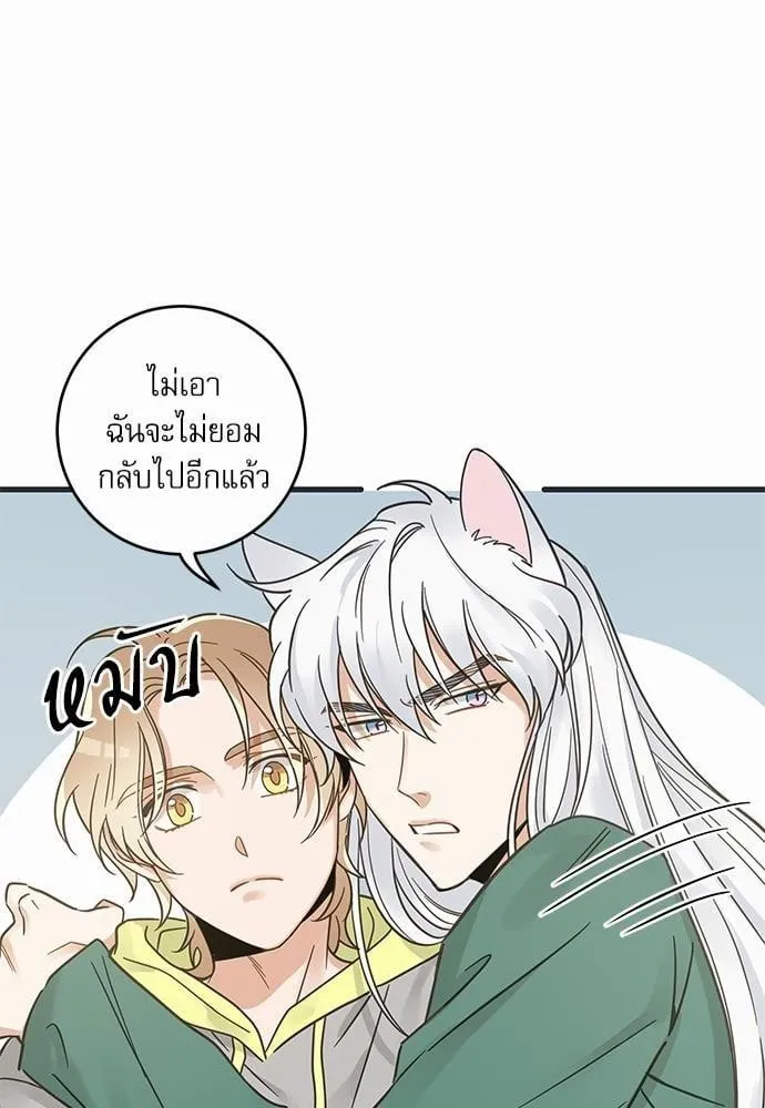 My One and Only Cat ตอนที่ 4148 My One and Only Cat ตอนที่ 4148