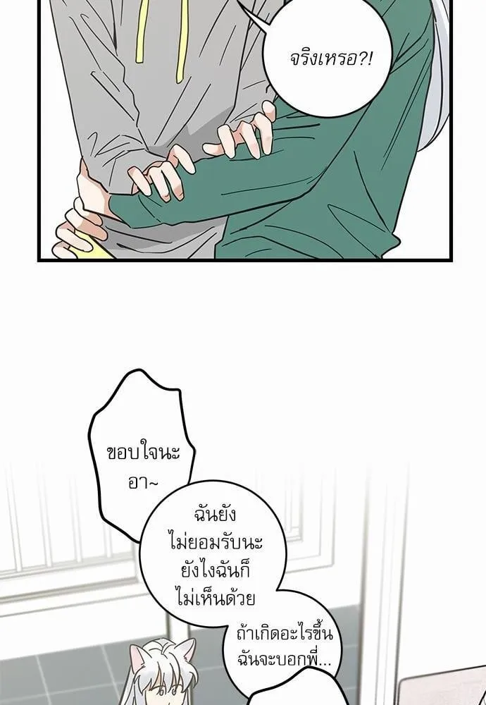 My One and Only Cat ตอนที่ 4152 My One and Only Cat ตอนที่ 4152