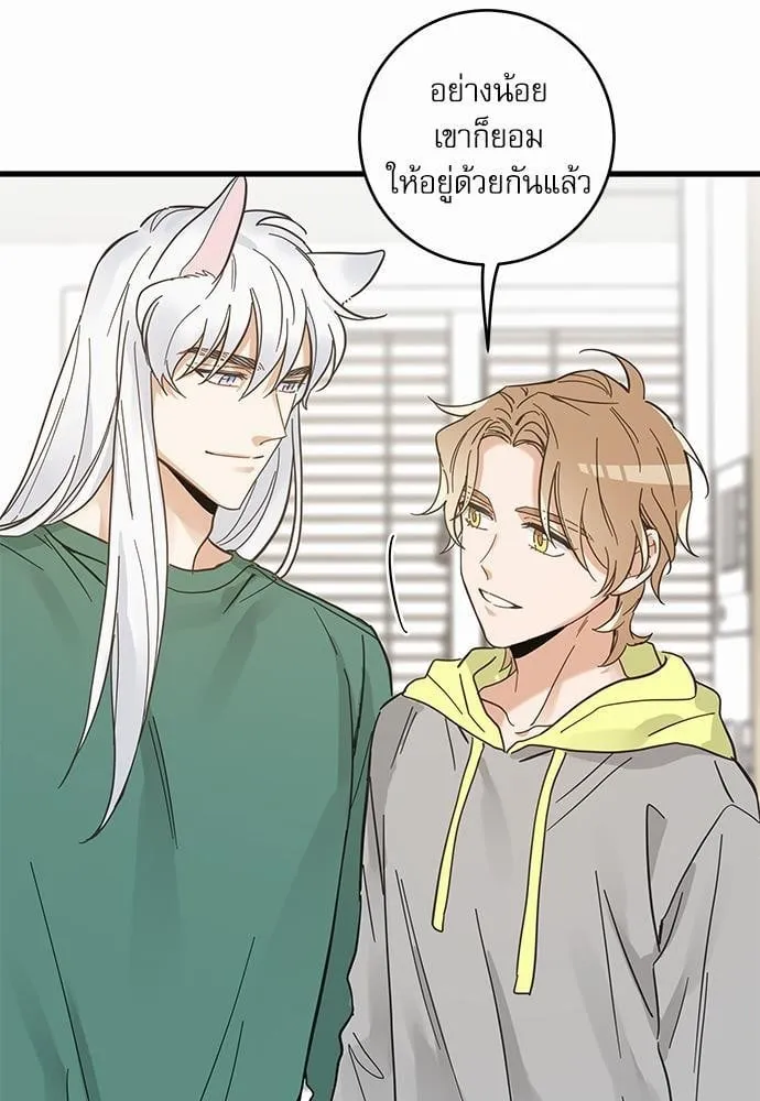 My One and Only Cat ตอนที่ 4157 My One and Only Cat ตอนที่ 4157