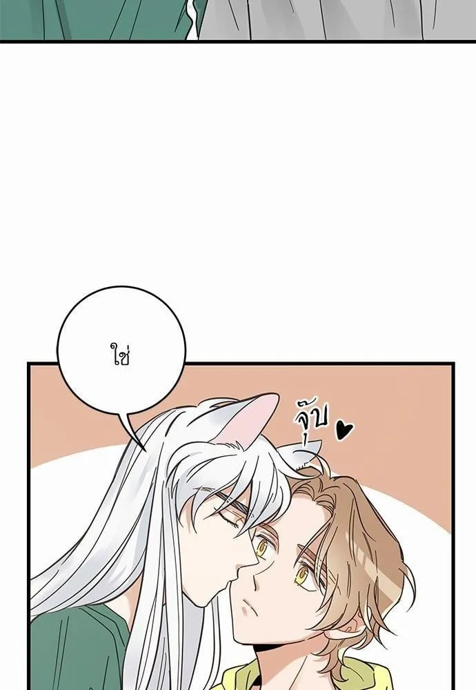 My One and Only Cat ตอนที่ 4158 My One and Only Cat ตอนที่ 4158