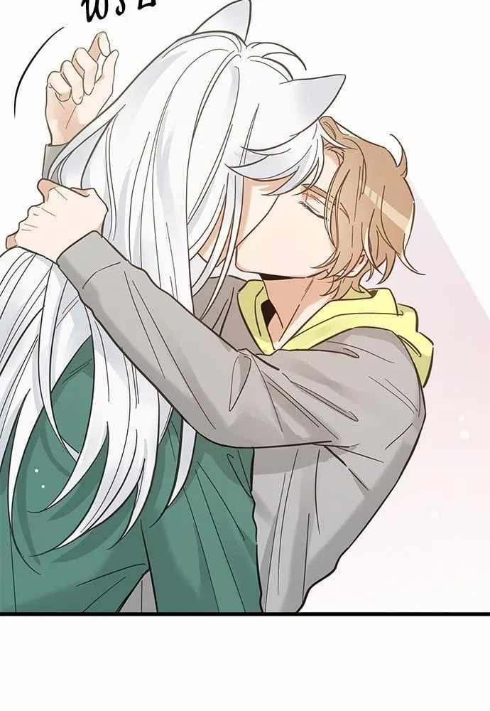 My One and Only Cat ตอนที่ 4161 My One and Only Cat ตอนที่ 4161