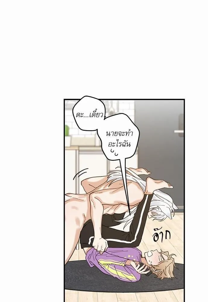 My One and Only Cat ตอนที่ 418 My One and Only Cat ตอนที่ 418