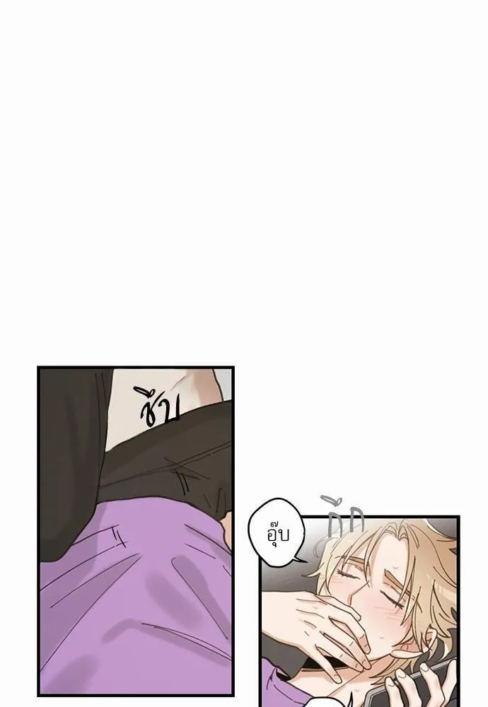 My One and Only Cat ตอนที่ 420 My One and Only Cat ตอนที่ 420