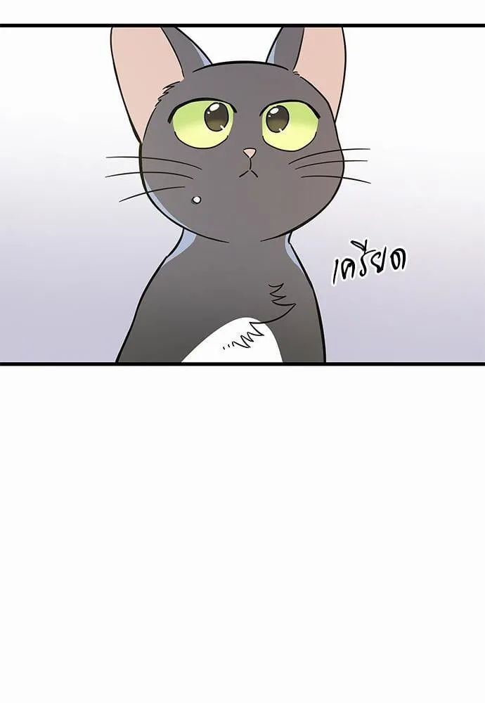 My One and Only Cat ตอนที่ 4207