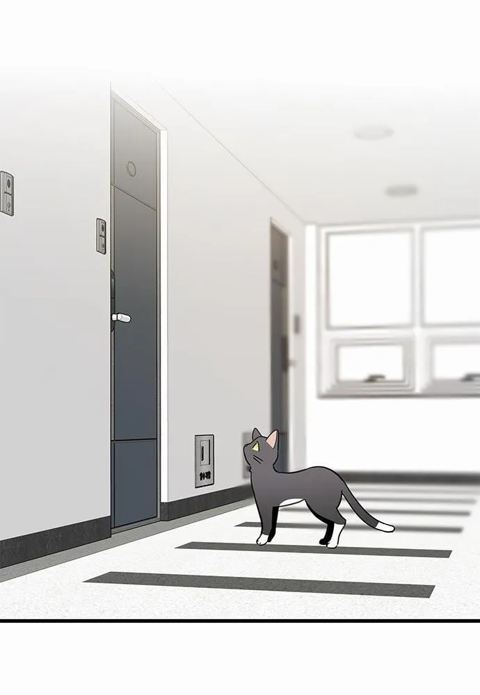 My One and Only Cat ตอนที่ 4210