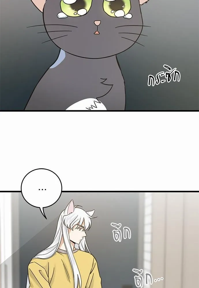 My One and Only Cat ตอนที่ 4217
