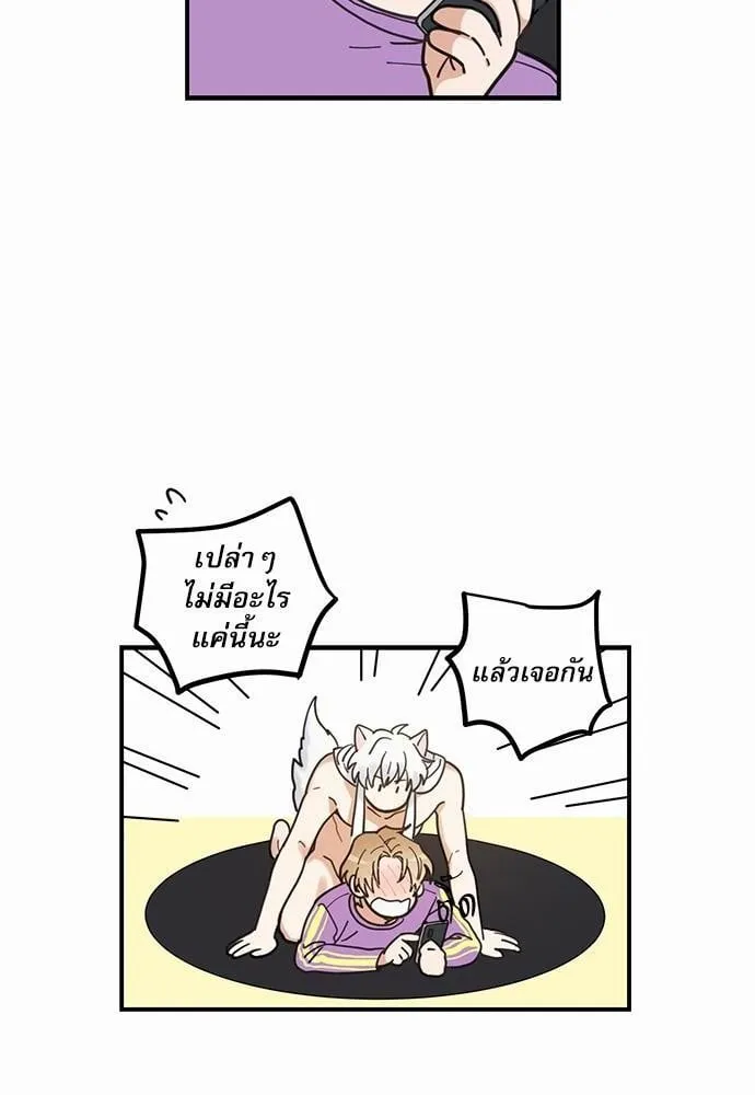 My One and Only Cat ตอนที่ 422 My One and Only Cat ตอนที่ 422