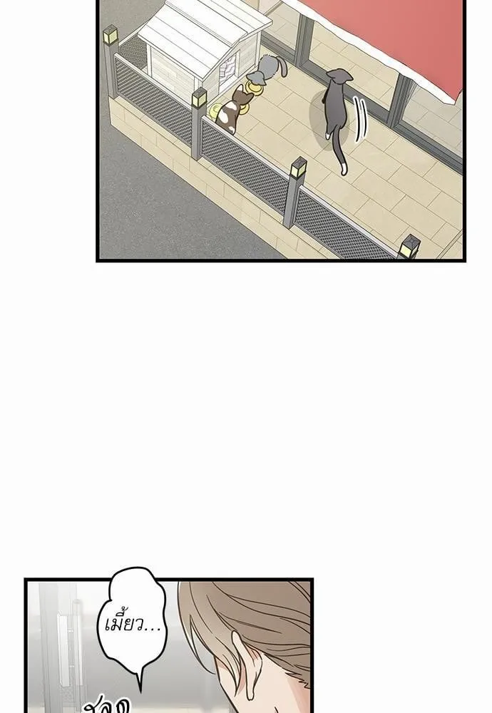 My One and Only Cat ตอนที่ 4220