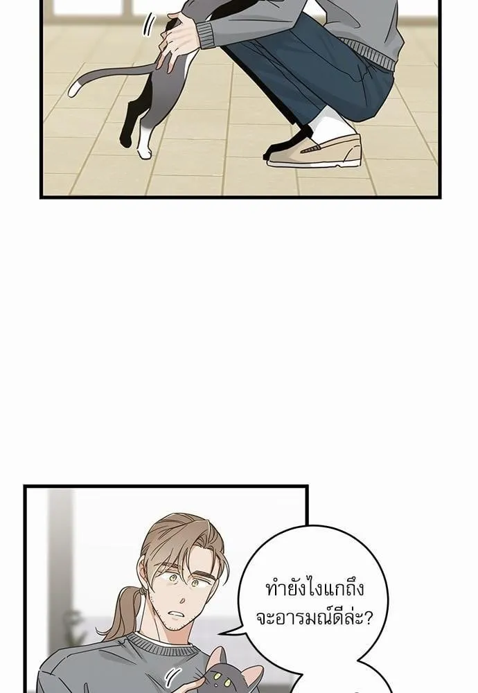 My One and Only Cat ตอนที่ 4224