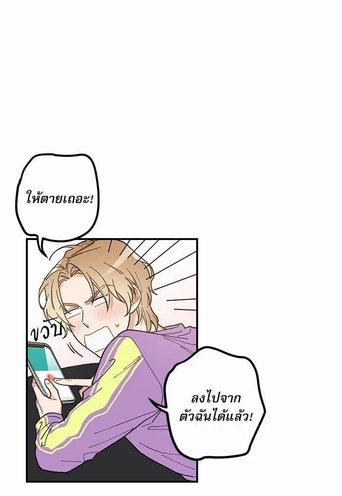 My One and Only Cat ตอนที่ 423 My One and Only Cat ตอนที่ 423