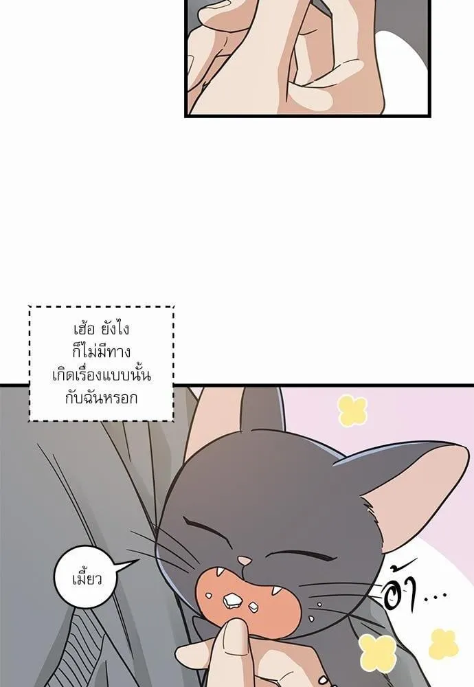 My One and Only Cat ตอนที่ 4230